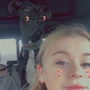 Meet your Posher, Autumn